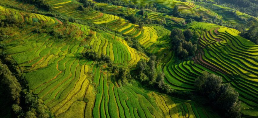 Wachstumschancen in Vietnam: Langfristiges Potenzial in Asiens aufstrebender Volkswirtschaft erschließen