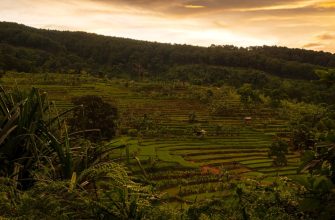 Performance des Lumen Vietnam Fund: Wachstum gezielt mit lokaler Expertise steuern