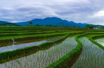 Beste Vietnam-Aktien zum Kauf im Juli 2025: Strategische Favoriten für Wachstum und Stabilität